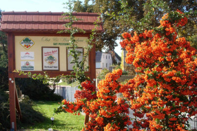 Weinfest Pesterwitz